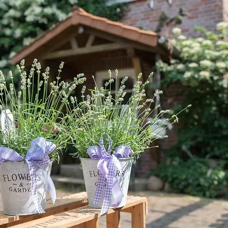 بيت ريفي Landgasthaus Eichenkrug